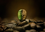 Coffee_thumb